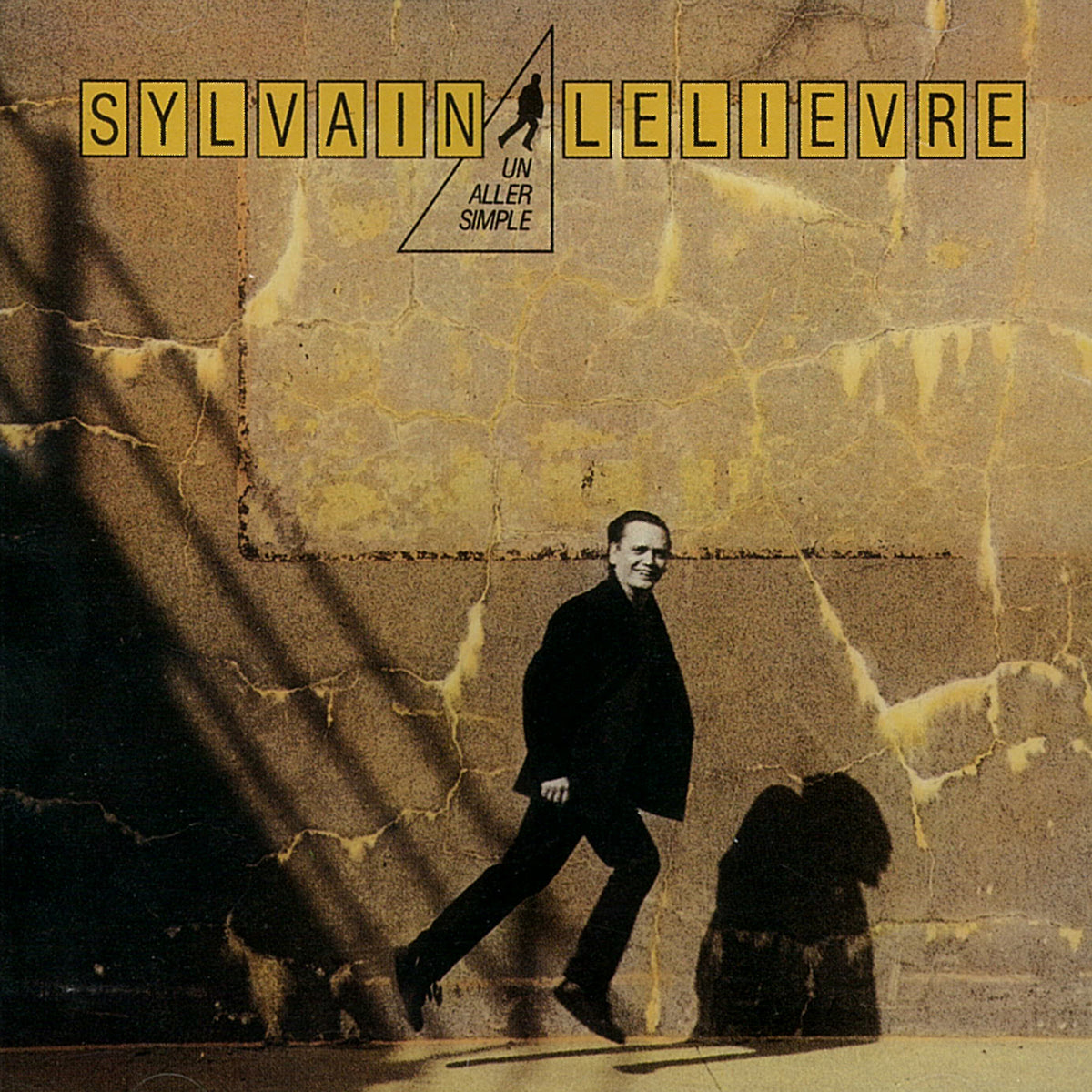 Un aller simple - Sylvain Lelièvre - Numérique